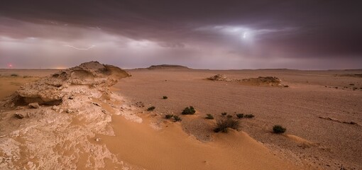 Canvas Print - Rock and plants on the desert with a dark clouds above