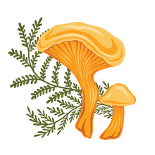 Vector Illustration Of Colorful Cartoon Mushroom With Fern Stems On White Background. Chanterelle With Herbal Decoration. Drawing Of Edible Grebe.