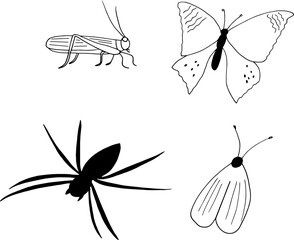 spider, grasshopper, butterfly, locust, moth hand drawn in doodle style. set insect. icon, sticker