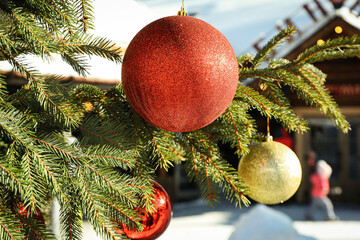 Wall Mural - Christmas tree with baubles outdoor in winter season