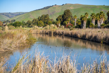 Canvas Print - Scenic view of the lake in Central Park, Fremont