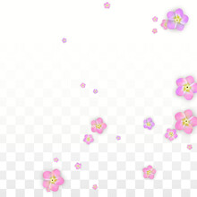 Vector Realistic Pink Flowers Falling On Transparent Background.  Spring Romantic Flowers Illustration. Flying Petals. Sakura Spa Design. Blossom Confetti. Design Elements For Wedding Decoration.