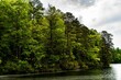 Scenic shot of lush trees on the bank of a lake under cloudy sky