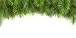 © Buffstock - christmas background with branches