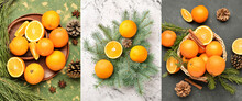 Collage With Sweet Oranges And Fir Branches, Top View