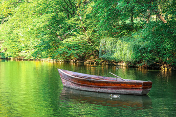 Wall Mural - View of beautiful river with boat and green trees