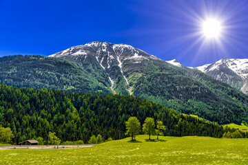 Wall Mural - Alp mountains with forest and fields, Fiesch, Goms, Wallis, Vala