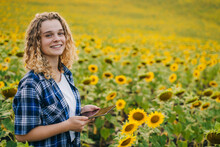 Farmer Woman With Curly Hair Looking At Camera Holding A Phone Among Yellow Sunflower Fields. Sunflower Business Concept. Smart Farm. Copy Space
