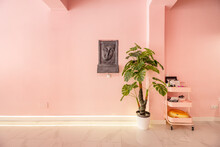 A Beauty Salon Business With Shiny Marble Floors, Hot Pink Walls, Faux Decorative Plants, And A Decorative Black Stone Fountain