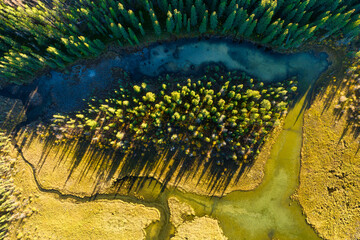 Wall Mural - a drone view of the river in the woods. an aerial view of an autumn forest. winding river among the 