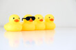 Four yellow rubber ducks in a row, one standing our wearing black sunglasses. Idiom, phrase, concept for organisation, to get one’s ducks in a row. Copy space.