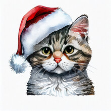 Horizontal Shot Of Cute Cat With Christmas, Santa Hat 3d Illustrated