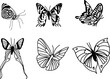 vector de bonitas mariposas IV