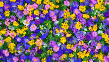 カラフルな花の背景　テクスチャ　素材