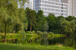 Park, lake inside urban area. Summer. Walking green area. Summer, sunset.