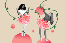 Creative 3d Photo Collage Artwork Graphics Painting Of Two Happy Smiling Ladies Dancing Peony Skirts Isolated Drawing Background