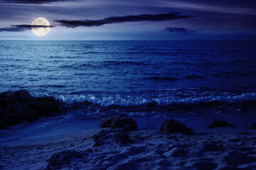 Wall Mural - summer vacation background at the sea. clear water and sandy beach in full moon light. relax and rec