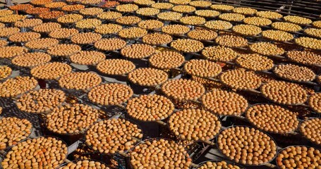 Poster - Dry Persimmon fruit production under sunshine in factory