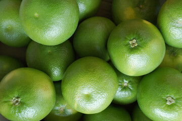 Wall Mural - Citrus Sweetie in the market. Background or food texture of green citrus fruits.