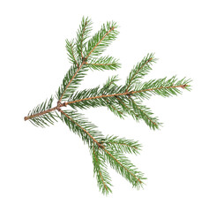 Wall Mural - 
Fir branch isolated. christmas tree.Christmas green spruce branch. green fir tree branch, isolated on transparent background png
