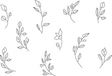 Graphic Vector Plant Branches With Buds And Berries