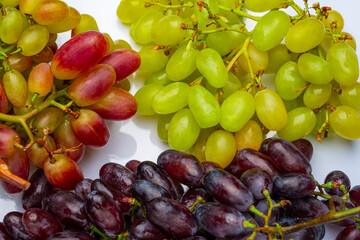 Sticker - Various grape varieties. Black and green grapes. fragrant grapes