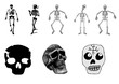 Collection of skeletons and skulls for web vector design halloween