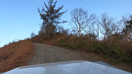 Canvas Print - Video shot from a Land Rover Defender on a drive through the woods in late Autumn. dirt road on the sides you can see the trees, and the dry bushes, the clear blue sky sunny winter day, a slope of sto