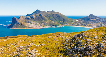 Wall Mural - Hout Bay Coastal mountain landscape with fynbos flora in Cape Town