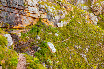 Wall Mural - Dirt Track hiking paths on top of a mountain by the coast