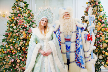 a Father Frost and Snow Maiden in blue costume in the room with christmas trees 