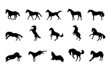 Set Of Wild Horse Silhouette With Super Detail Design Isolated On White Background