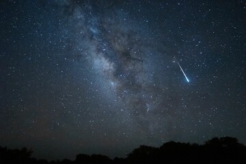 Wall Mural - lyrid meteor shower over the new mexico sky.