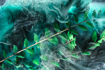 Abstract green background with leaves and paints in water. Backdrop for perfume, cosmetic products