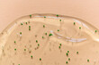 Liquid Aloe vera gel or serum on beige background
