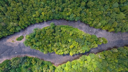 Sticker - Aerial view of the trail and thick forest in Fork Run Recreation Area Trails in Maryland, USA