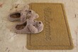 beautiful, warm, house slippers in the form of dogs, stand at the entrance on a home rug. welcome