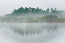 Scenic View Of Shoreline With Trees Seen During A Foggy Day In Nature