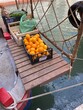 fruit boat