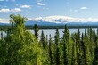 Scenic shot of vegetation around a wide river with the Wrangell Mountains in Alaska, USA