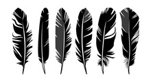 Set Of Six Bird Feathers Design