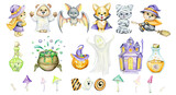 Fototapeta Pokój dzieciecy - Watercolor set, elements and animals in costumes for the Halloween holiday. Cute animals in cartoon style, on an isolated background.