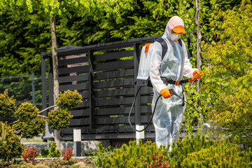 Wall Mural - Professional Gardener Safely Spraying Pesticides on Garden Plants