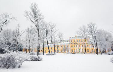 Wall Mural - Snowy park view with frozen trees on a winter day. Saint-Petersburg