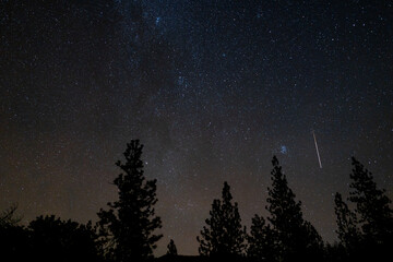 Wall Mural - leonids meteor shower fireball night sky skyscape