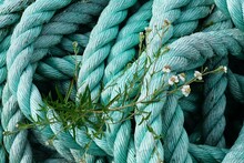 Harbour Theme, Rope With Flower