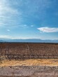 Vertical shot of an agricultural vineyard with mountain ranges on the background in winter