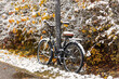 © Germanroam - Bicycle covered with snow chained to light pole in front of green bushes first snow