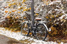 Bicycle Covered With Snow Chained To Light Pole In Front Of Green Bushes First Snow