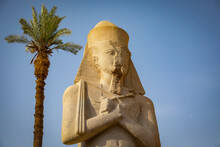 Egypt, Luxor, Pharaoh Statue And Palm Tree At Temple Of Karnak